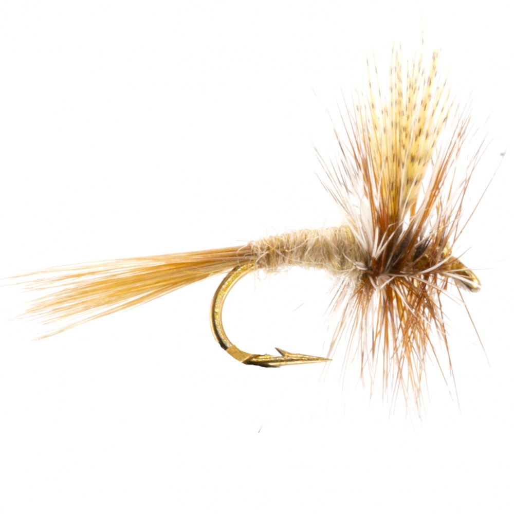 March Brown American Dry